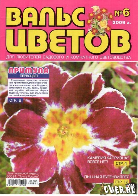 Вальс цветов №6 2009