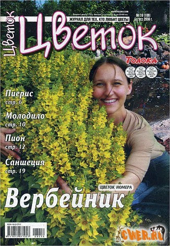 Цветок №16 2008