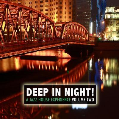 Deep in the Night! Vol 2. A Jazz House Experience