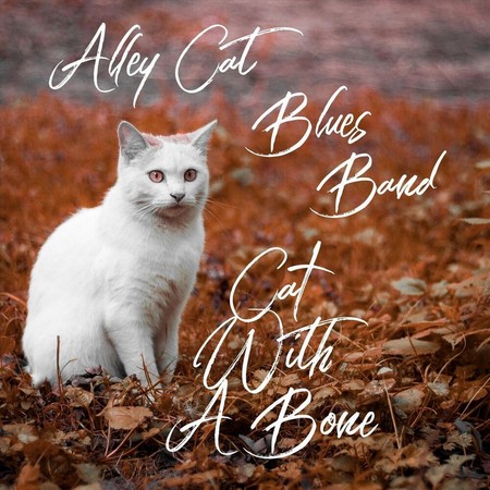 Alley Cat Blues Band - Cat With A Bone (2020)