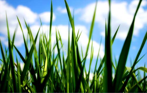 Wallpaper MIX #03 (by McMurphy)