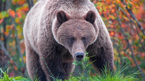 Computer Desktop Wallpapers Collection. www.cwer.ru