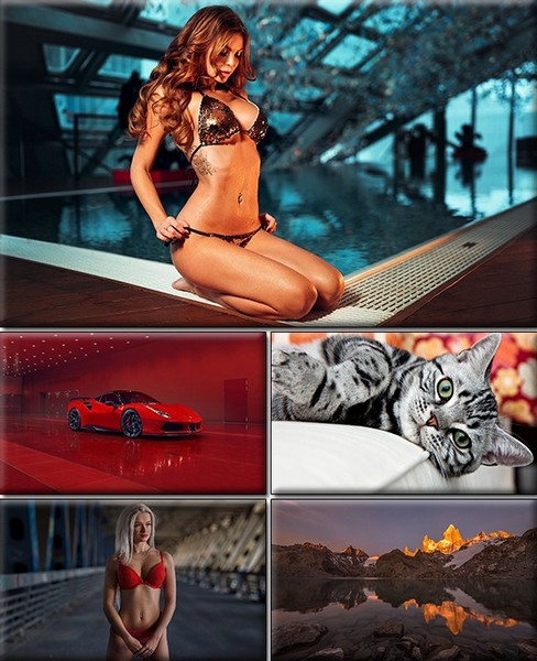 Computer Desktop Wallpapers Collection. www.cwer.ru