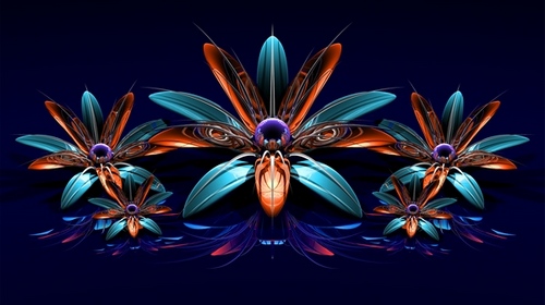 Computer Desktop Wallpapers Collection. www.cwer.ru