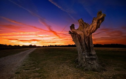 Computer Desktop Wallpapers Collection. www.cwer.ru