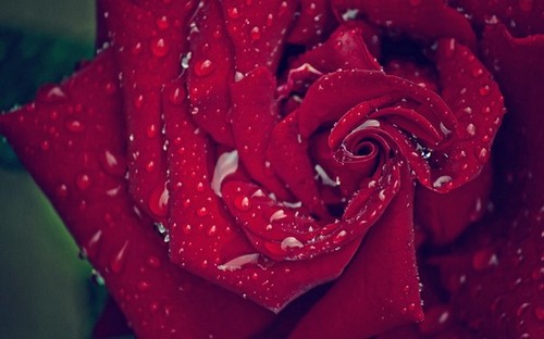 Computer Desktop Wallpapers Collection. www.cwer.ru