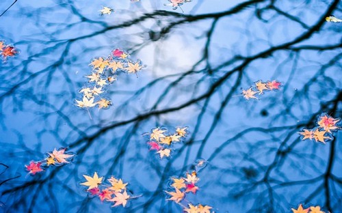 Computer Desktop Wallpapers Collection. www.cwer.ru