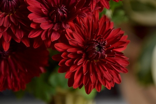 Computer Desktop Wallpapers Collection. www.cwer.ru