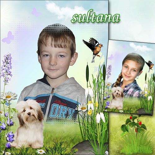 Рамка для фотошопа - Мой любимый пёс