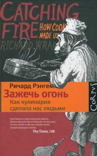 Зажечь огонь