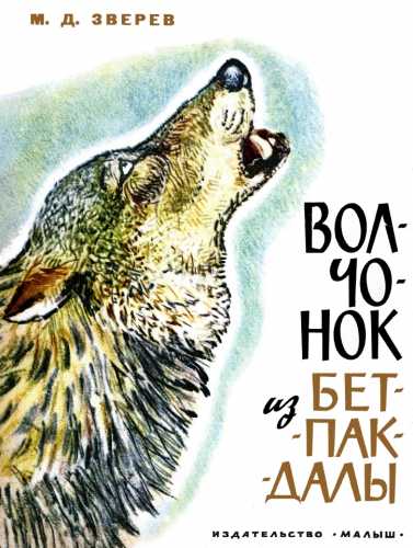 Волчонок из Бет-Пак-Далы