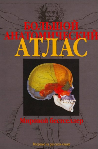 С. Йокочи. Большой анатомический атлас