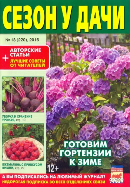 Сезон у дачи №18 (сентябрь 2016)