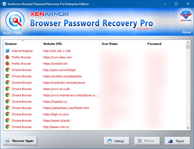 Browser Password Recovery Pro Enterprise Edition