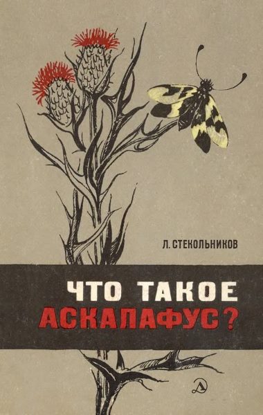 Что такое аскалафус?