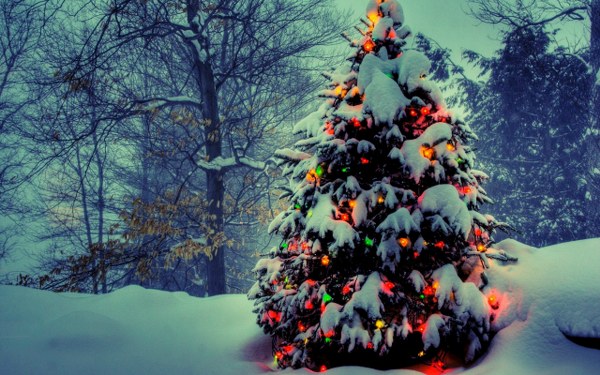 New Mixed HD Wallpapers Pack 229