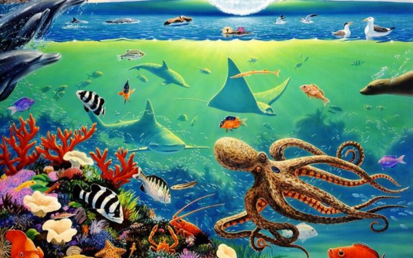 New Mixed HD Wallpapers Pack 257