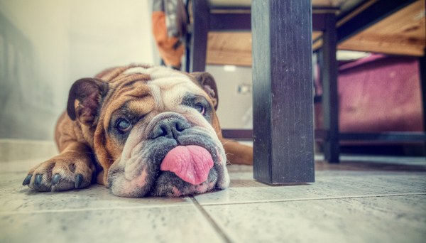 New Mixed HD Wallpapers Pack 295