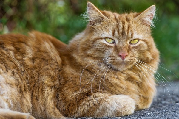 Best Mixed Wallpapers Pack #345-346