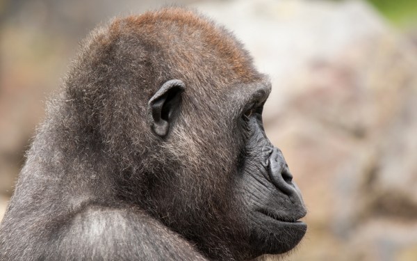 New Mixed HD Wallpapers Pack 197