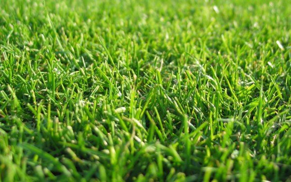 New Mixed HD Wallpapers Pack 217