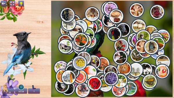 Hidden Pairs 3: Lovely Birds