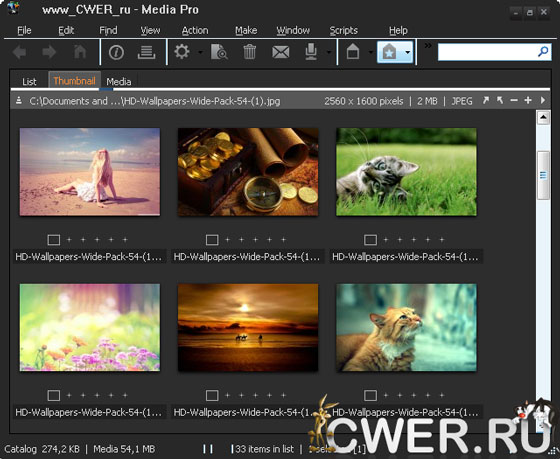 Phase One Media Pro v1.0.1.50400