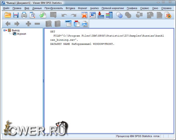 IBM SPSS Statistics 20